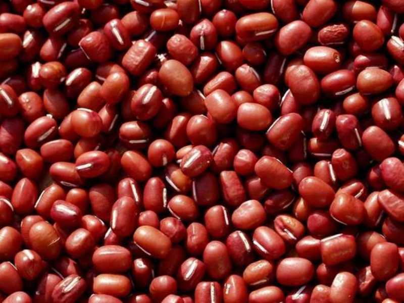 Small red kidney beans