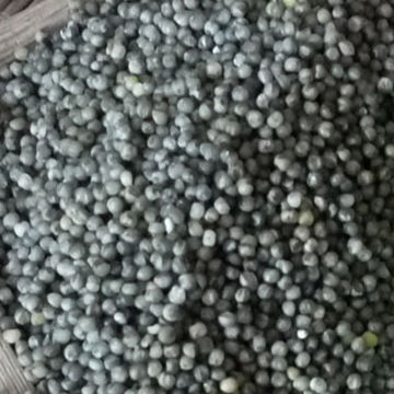 Hulled Black Millet