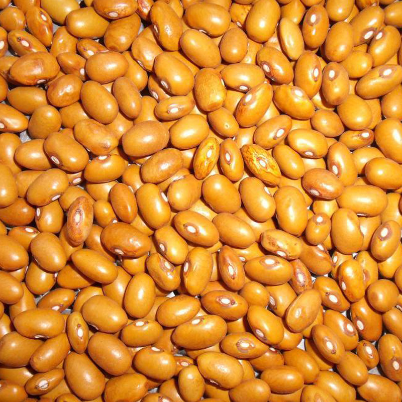 Yellow kidney beans