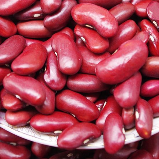 RED KIDNEY BEANS (SQUARE SHAPE)