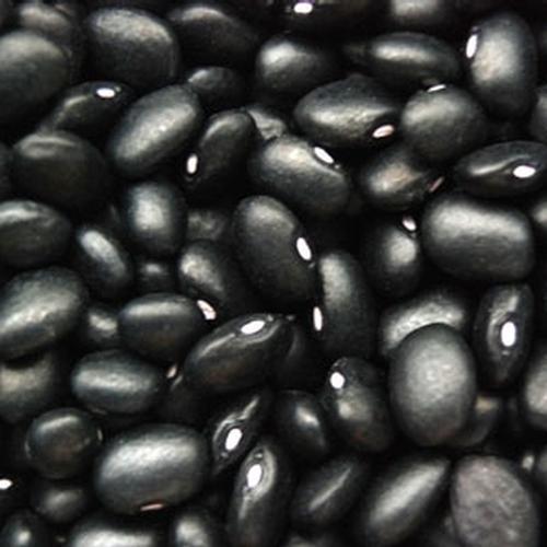 Black kidney bean