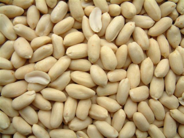 Long blanched peanuts