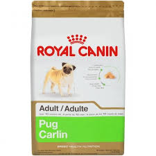 Royal Canin Adult Pug (Pug) Dog