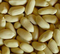 Round peanut 70/80