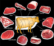 Halal Beef Cuts