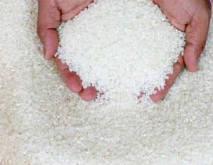 Vietnamese White Rice 100 % broken
